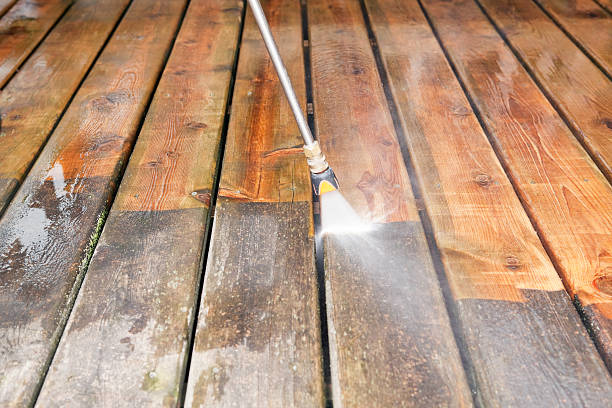 Animal Enclosure Cleaning in Locust, NC